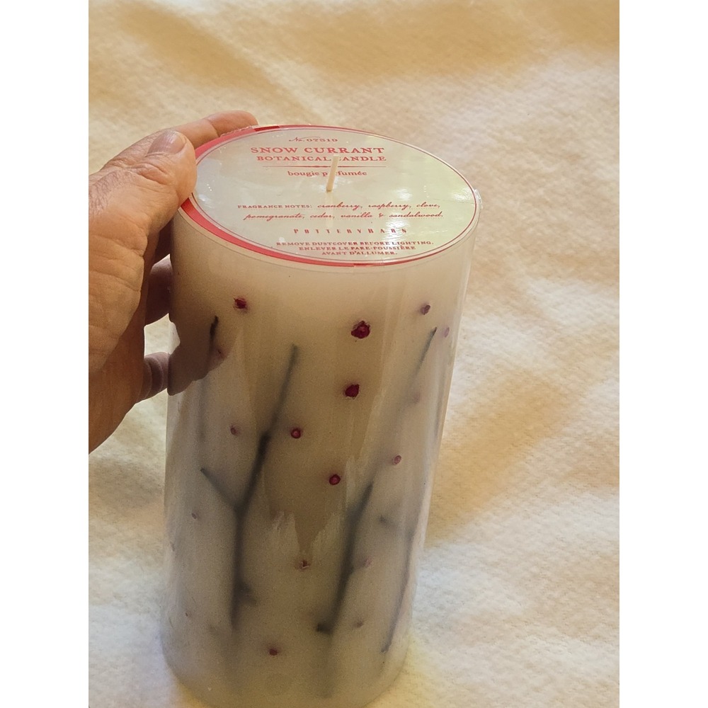 Pottery Barn Wax Snow Currant Scented Pillar Candle Botanical Pillar 8" tall